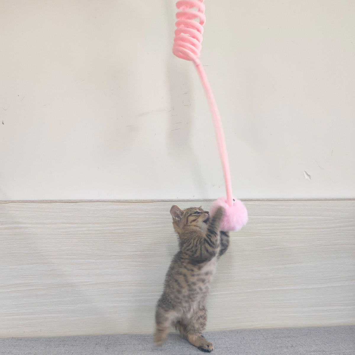VeluSpring Cat Toy