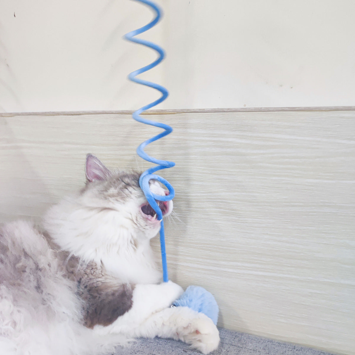VeluSpring Cat Toy